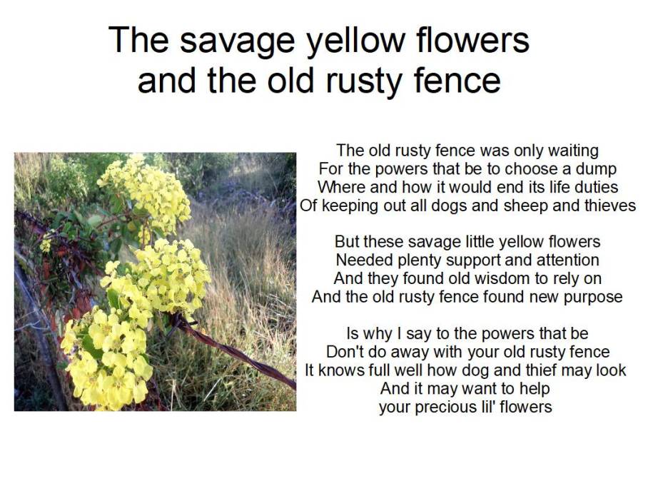 the old rusty fence foto